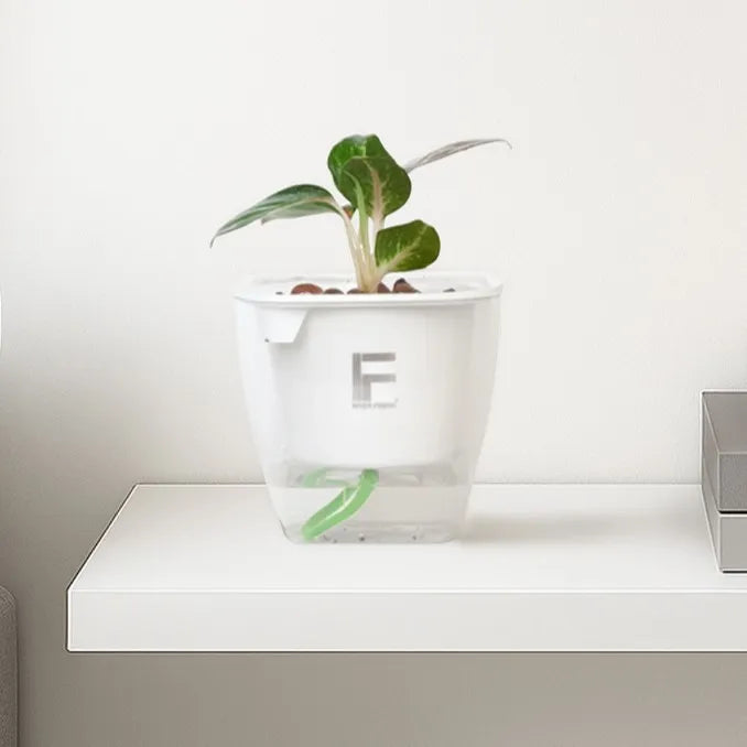 Aquarium Mini pot