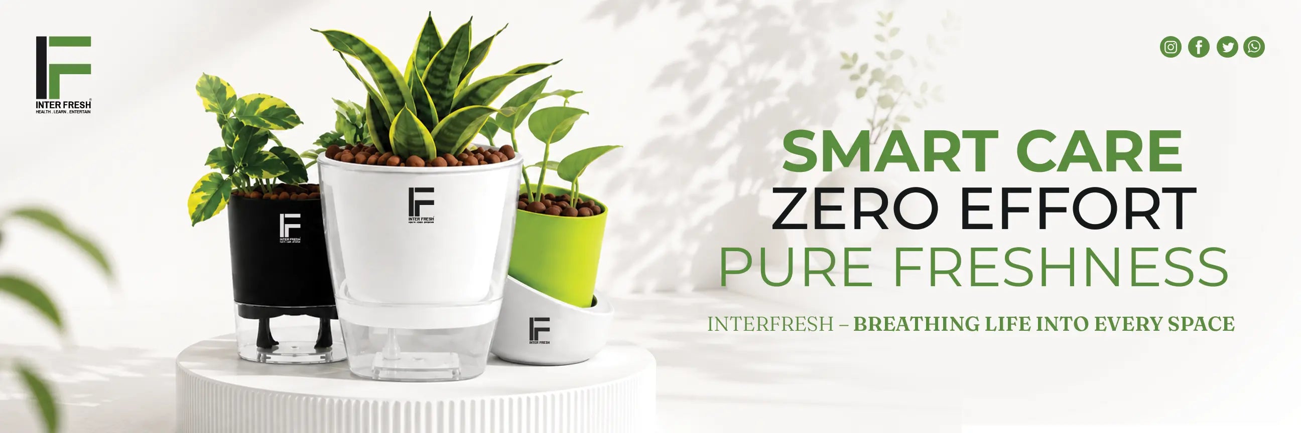 InterFresh Banner 1