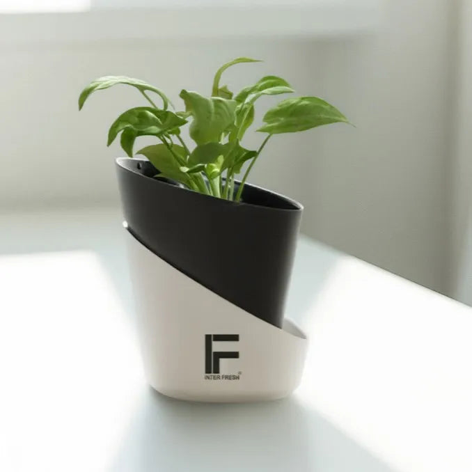 Curve Pot planter